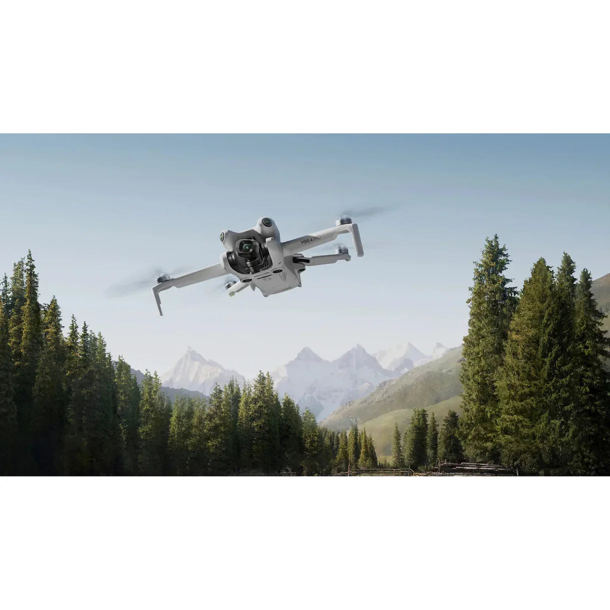 DJI Mini 4 Pro (DJI RC 2)